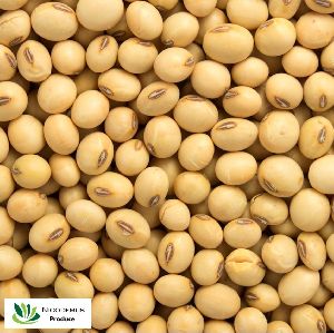 Non-GMO Soybeans Grade AA