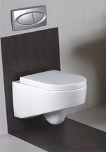 Wall Mounted Commode