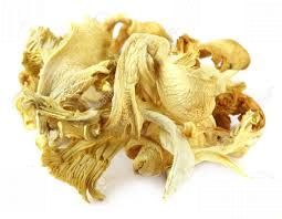 Yellow Dry Oyster Mushroom