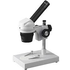 Dissecting Microscopes