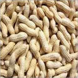 Groundnut Kernels