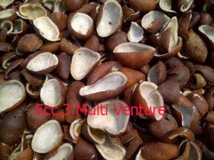 Deshelled Dried Coconut (Copra)