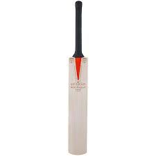 cricket bat