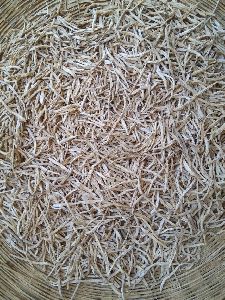 Organic Dried Shatavari Roots