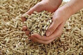 Poultry Feed Pellet