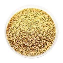 Indian Foxtail Millet