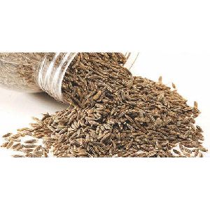 Raw Cumin Seeds