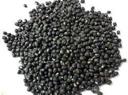 black urad dal