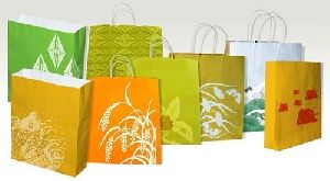 Fancy Printed Paper Bags