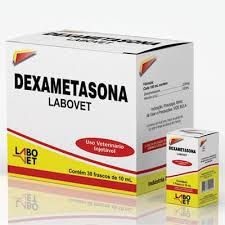 dexamethasone 10 mg/ml injection solution