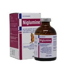 niglumine50ml Powerful for race