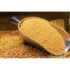 soybean meal