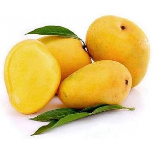 fresh mango