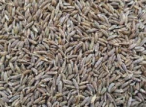 natural cumin seeds