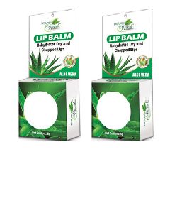 Nature's Sparsh Lip Balm with Aloe Vera