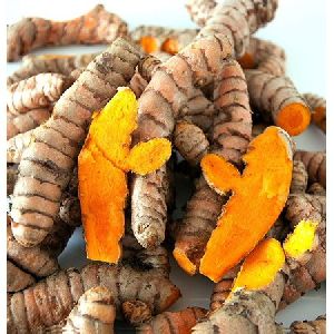 turmeric