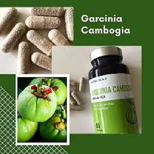 Garcinia Cambogia Pcos