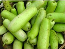 Natural Bottle Gourd