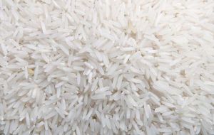 Organic Sonam Non Basmati Rice, For Gluten Free, Packaging Size : 10kg, 20kg, 25kg, 100kg