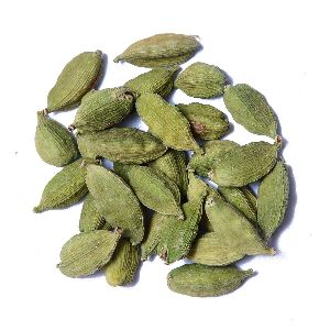 Big Green Cardamom