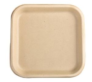 9 Inch Biodegradables Disposable Plate