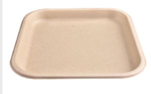 11 Inch Biodegradables Disposable Plate