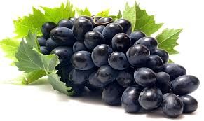 fresh black grapes