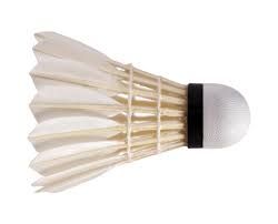 badminton shuttlecock