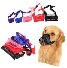dog muzzles