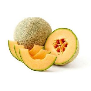 fresh muskmelon