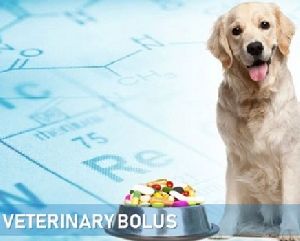 Veterinary Bolus Tablet