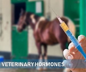 Veterinary Hormones