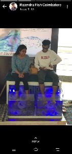 Garra Rufa Fish N Fish Spa Setup