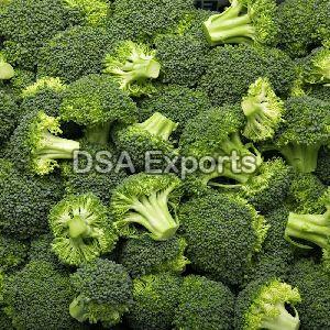 fresh broccoli