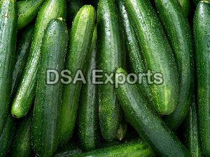 fresh cucumber
