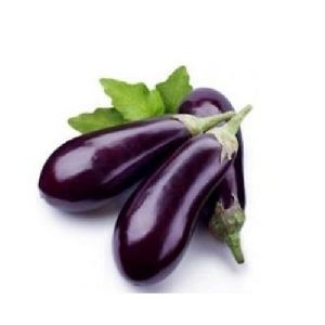 fresh brinjal