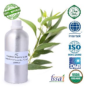 Eucalyptus Aroma Oil