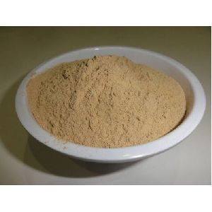 Coleus Forskohlii Root Powder