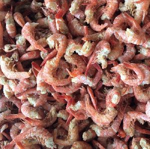 Freeze Dried Shrimp
