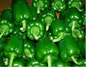 green capsicum