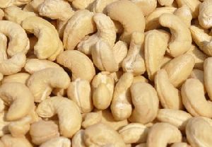 Dried Raw Cashew Nuts