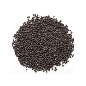 black mustard seeds