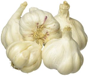 Fresh Organic Garlic