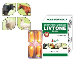 Livtone Bolus Animal Feed Supplement
