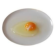 Egg Albumin