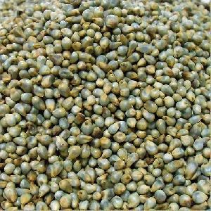 Organic Green Millet