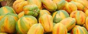 Indian Papaya Exporter