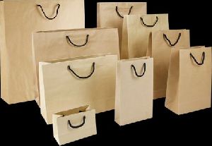 Twisted Paper Handle Bag