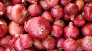 Fresh Red Onion