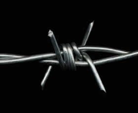 Iron Barbed Wire